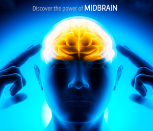 What is Mid Brain Activation